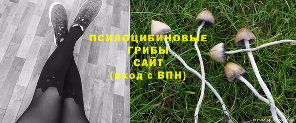 каннабис Армянск