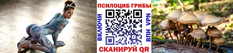 Галлюциногенные грибы Psilocybine cubensis  ОМГ ОМГ онион  Ряжск 